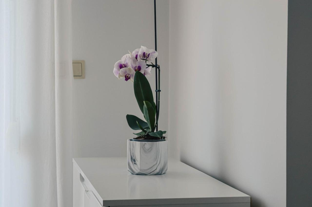 זאדאר Apartment Valentina מראה חיצוני תמונה